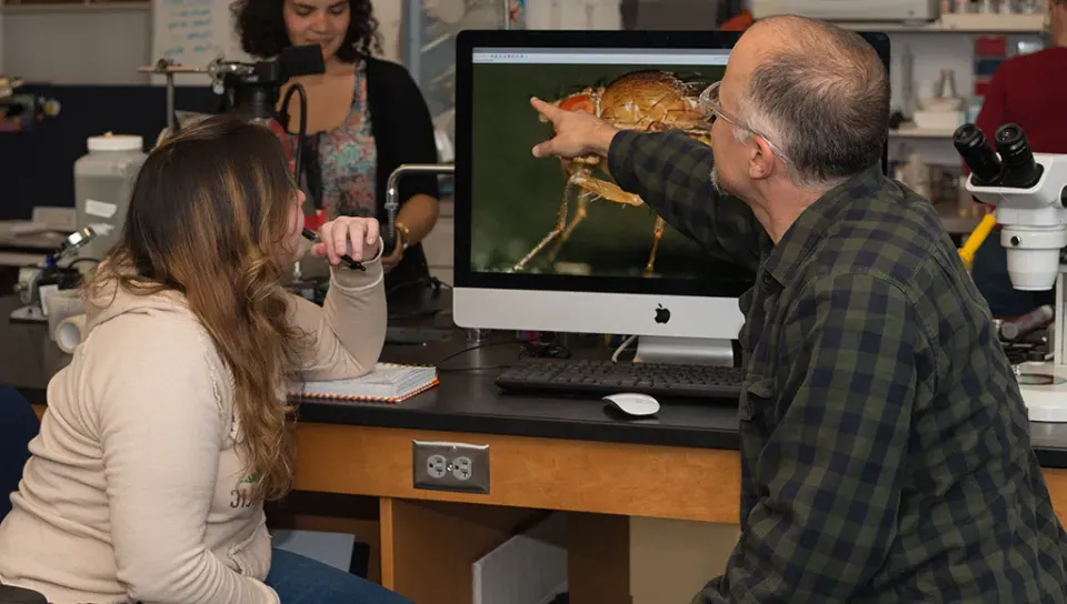 A faculty member and student discussing fruit flies